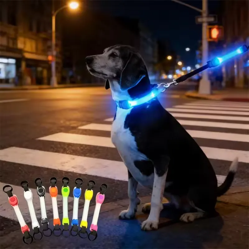 LED Dog Safety Collar – USB Rechargeable Waterproof Night Walking Collar