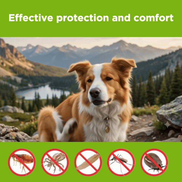 Alternative view of Natural Flea & Tick Protection Pendant